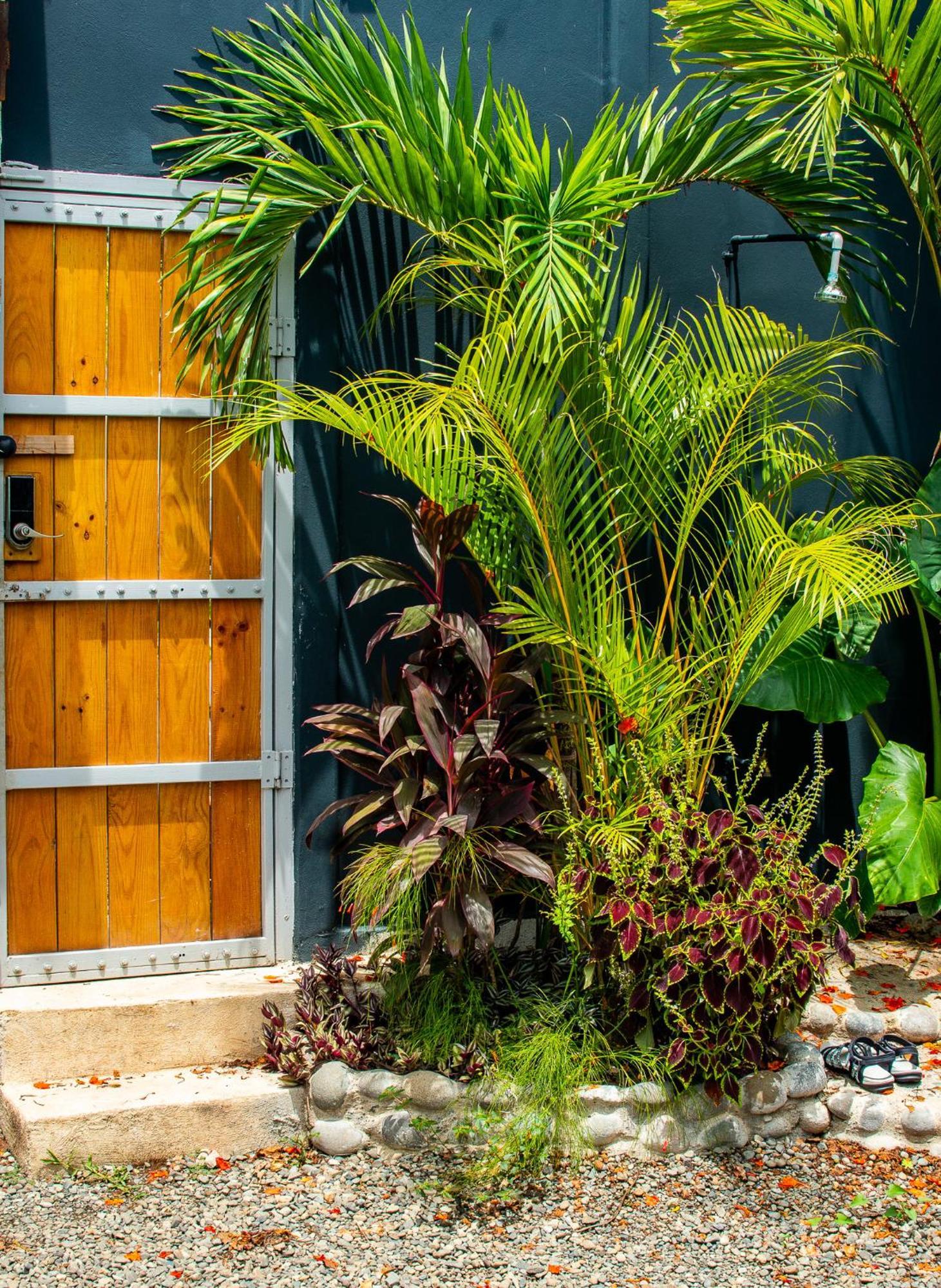 Mecca Hotel Puerto Viejo de Talamanca Exterior photo